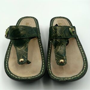 Alegria Carina Fancy Fish Sandals.‎ Green. Women’s Size 36.